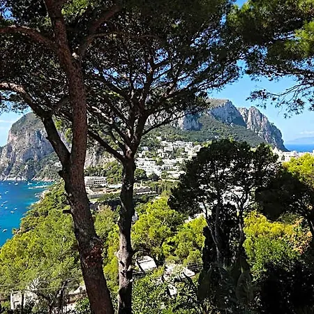 Casa vacanze I Pini *